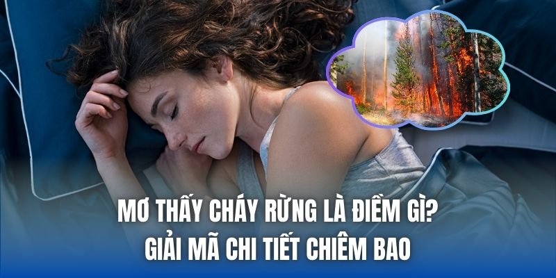 Mơ Thấy Cháy Rừng Là Điềm Gì? Giải Mã Chi Tiết Chiêm Bao