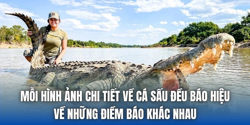 Mỗi hình ảnh chi tiết về cá sấu đều báo hiệu về những điềm báo khác nhau