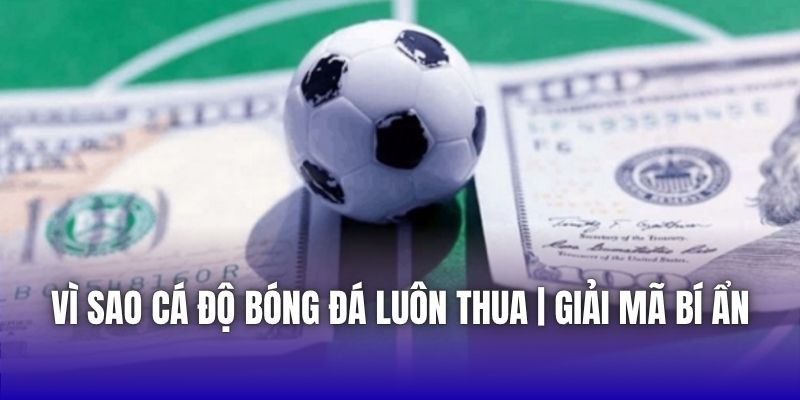 Vì Sao Cá Độ Bóng Đá Luôn Thua | Giải Mã Bí Ẩn
